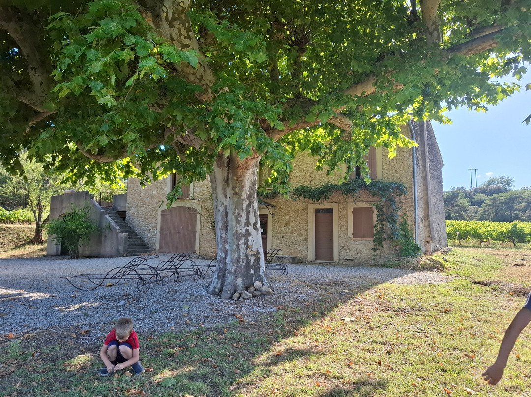 Domaine le Puy du Maupas主图