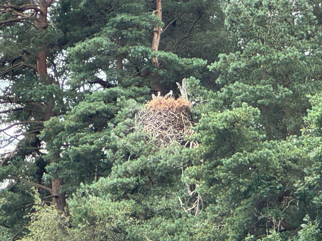 Cruise Loch Lomond-Balmaha必去景点
