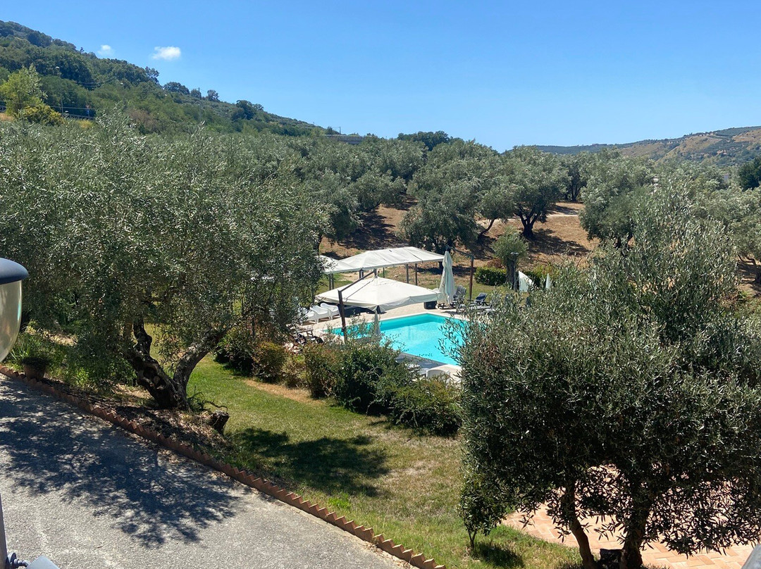 Agriturismo Manfredi主图