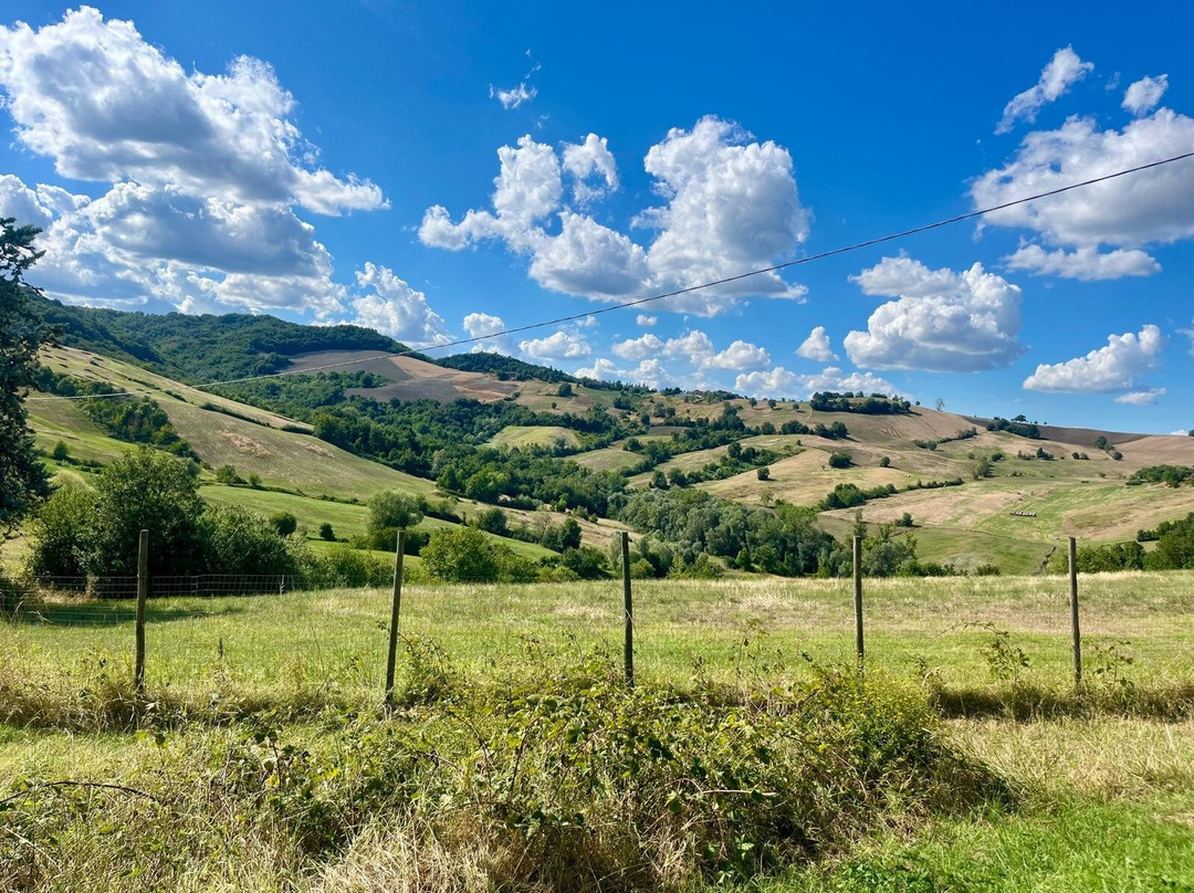 Contignaco Castle-萨尔索马焦雷泰尔梅必去景点