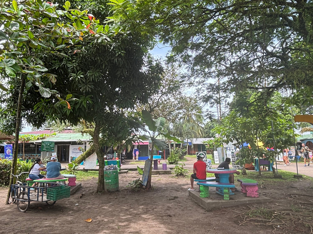 Hotel Serendipity Tortuguero主图