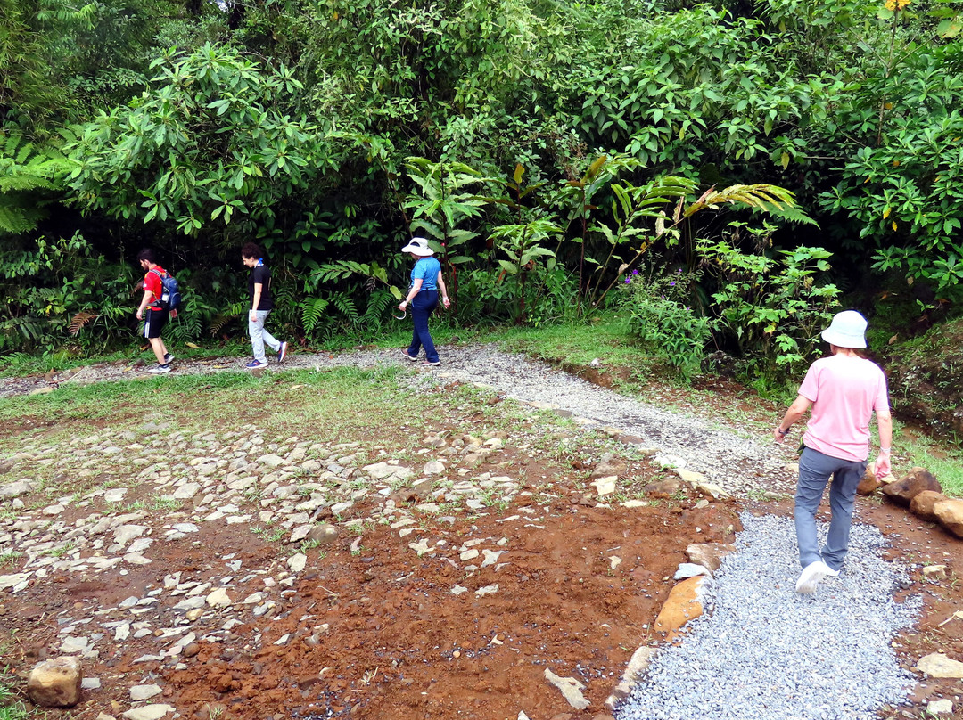 Blue Falls of Costa Rica-Bajos del Toro必去景点
