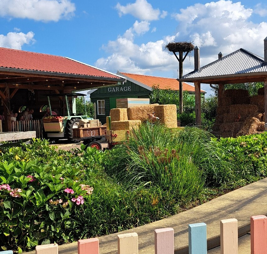 Avonturenboerderij Molenwaard-Groot-Ammers必去景点