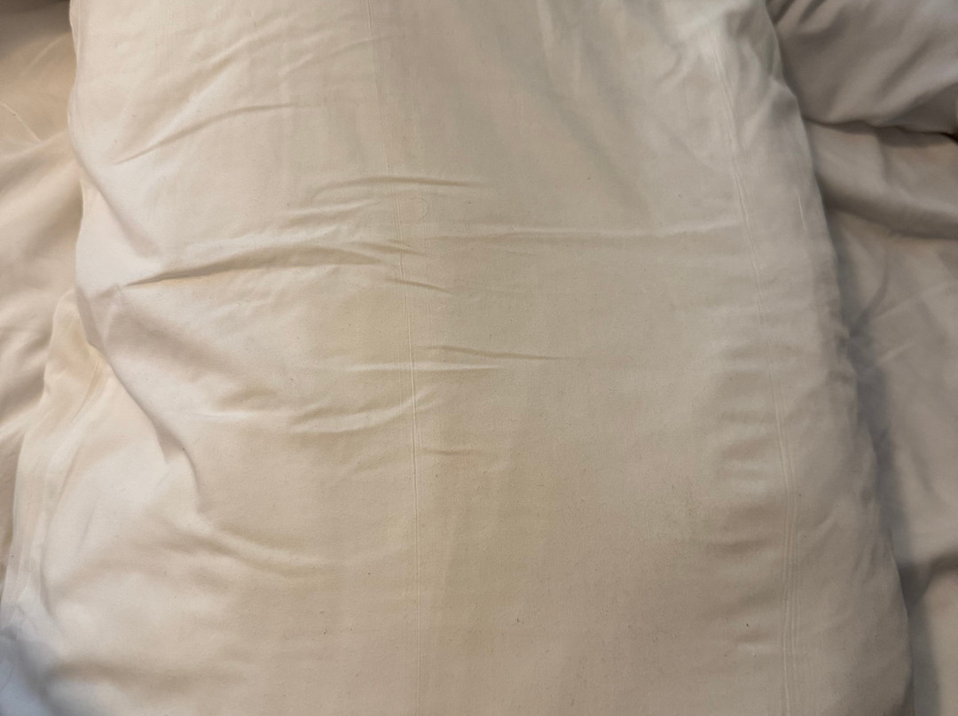 Catskill Seasons Inn主图