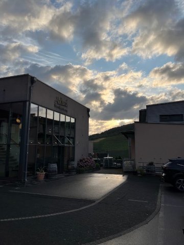 WeinBergHotel Nalbach Reil/Mosel-浴室