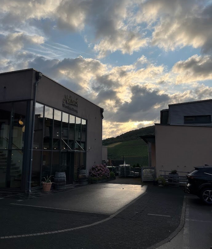 WeinBergHotel Nalbach Reil/Mosel主图