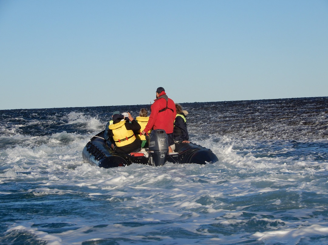 Coral Expeditions-凯恩斯必去景点
