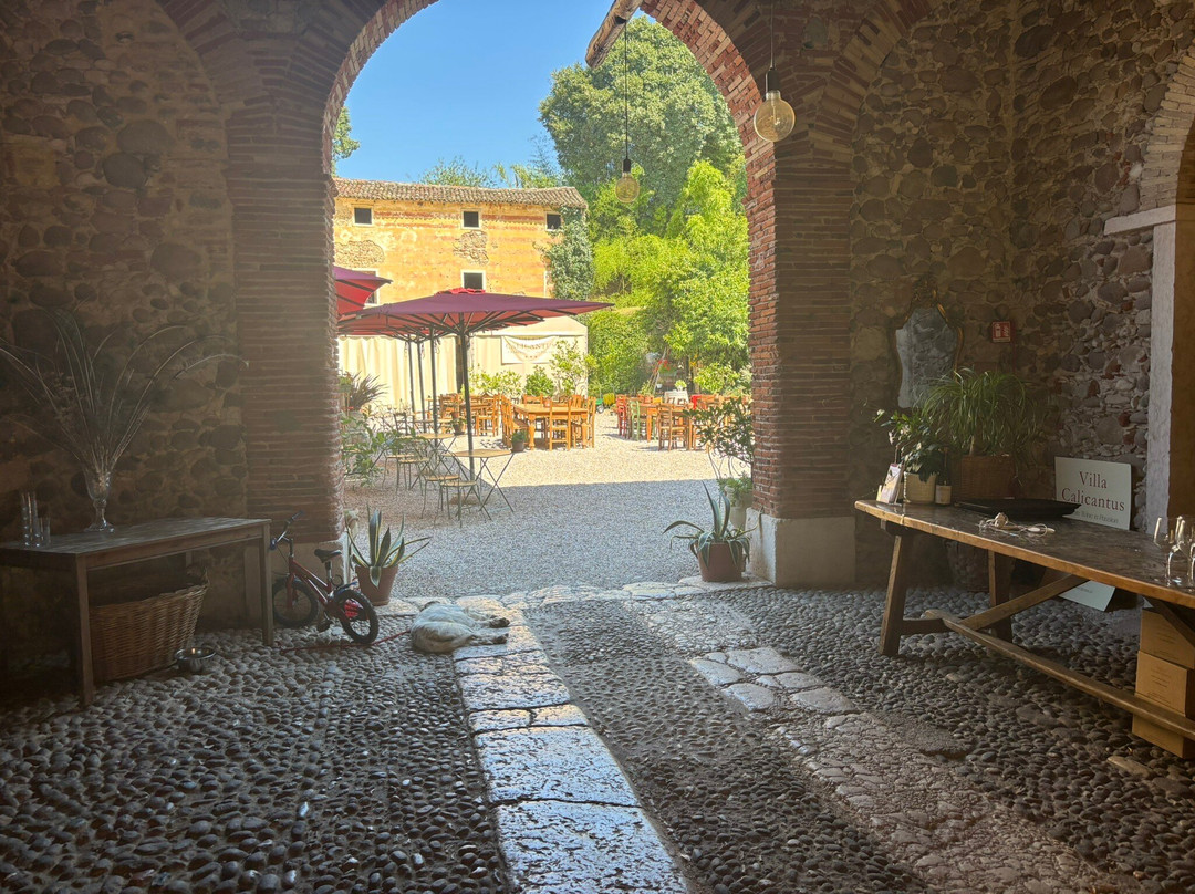Villa Calicantus-Calmasino必去景点