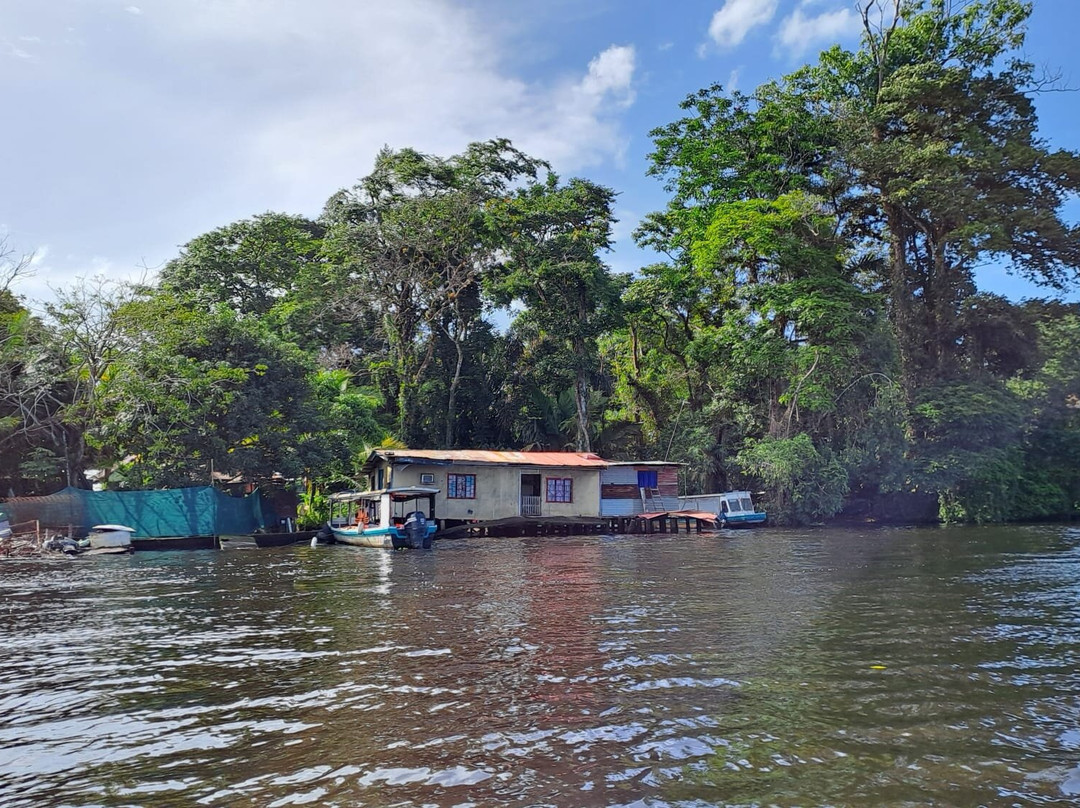 Tortuguero Canal-利蒙港必去景点