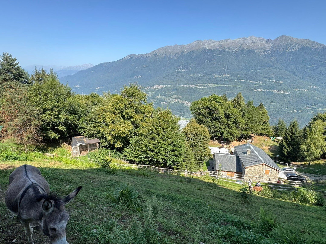 Fattoria Didattica Sempreverde-Morbegno必去景点