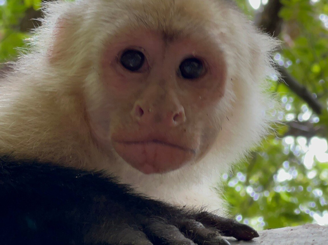 Water And Land Activities-Playa Panama必去景点