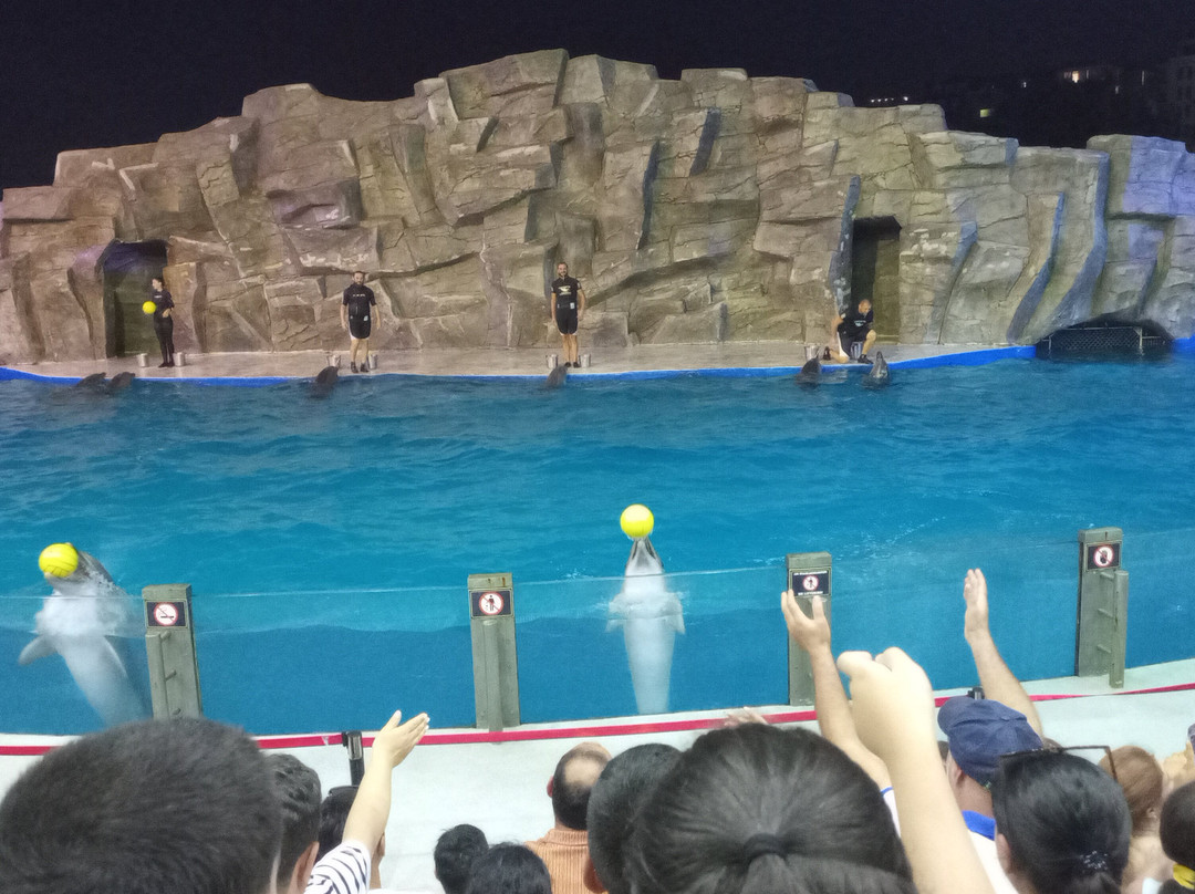 Batumi Dolphinarium-巴统必去景点