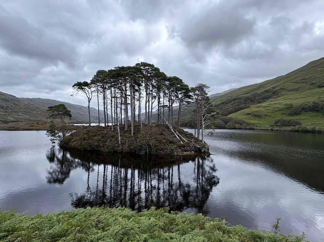 Eilean Na Moine. Dumbledore's Grave-Glenfinnan必去景点