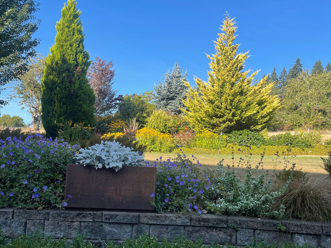 Franziska Haus Bed and Breakfast主图