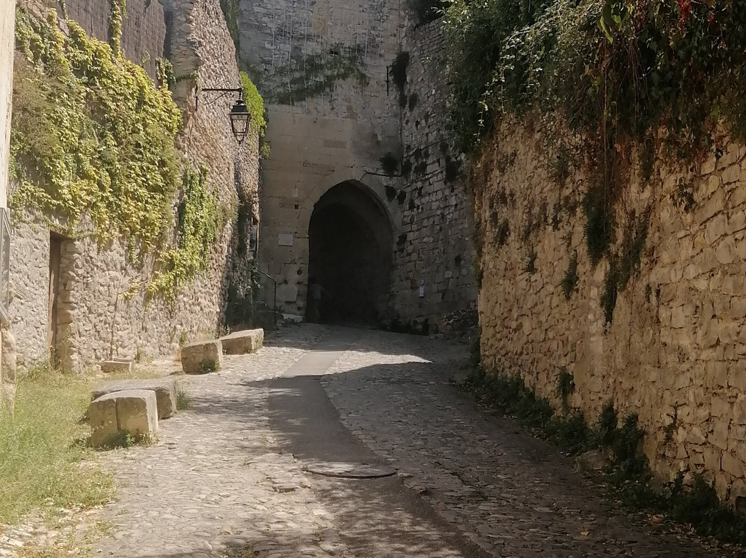 Vaison la Romaine-韦松拉罗迈纳必去景点