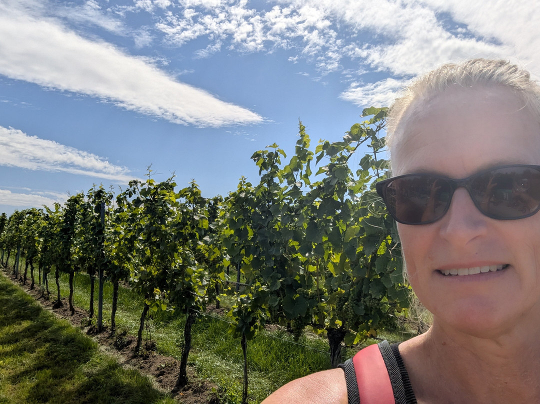 Weinspaziergang-维尔茨堡必去景点