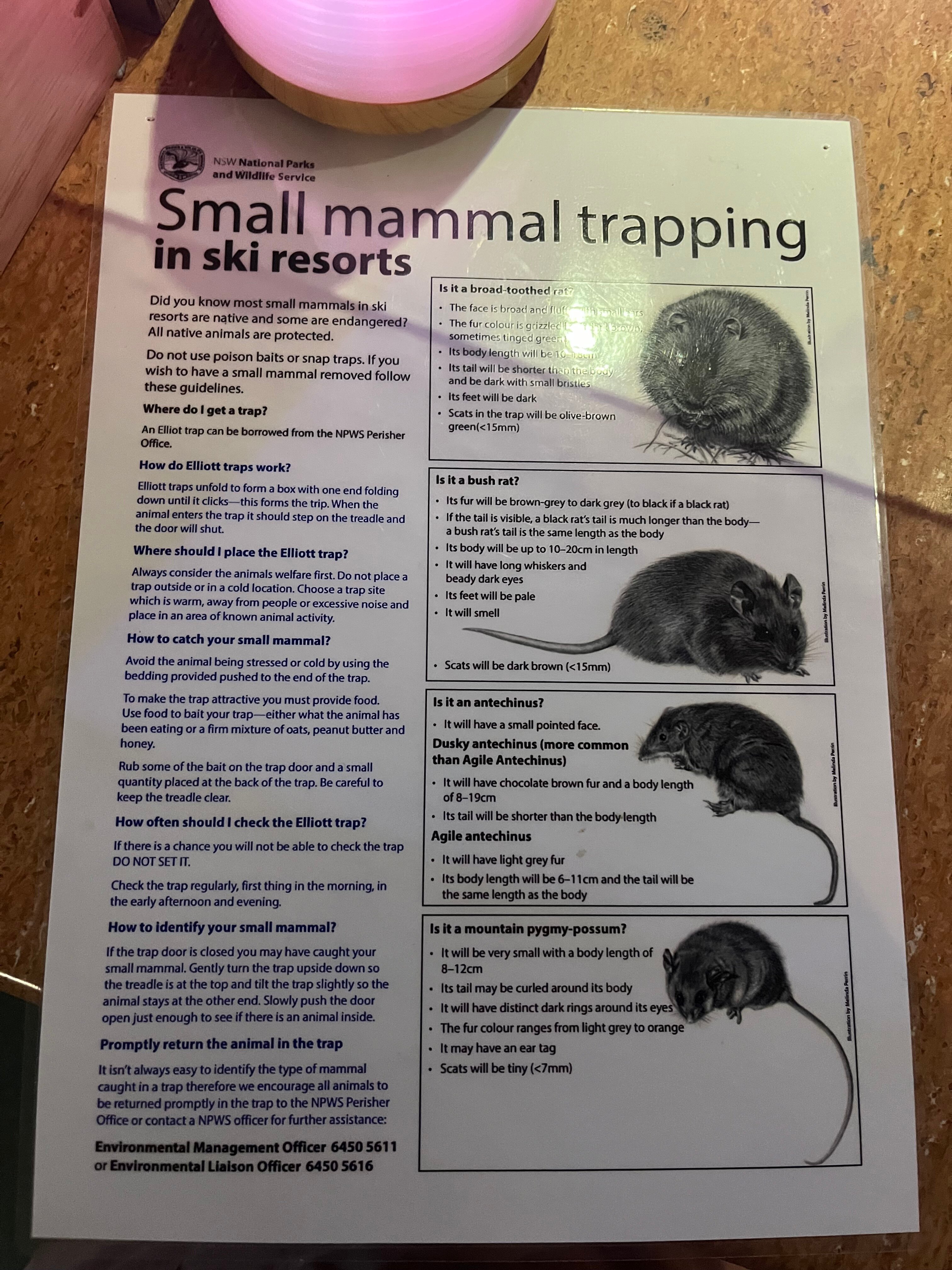 Sponars Chalet-浴室