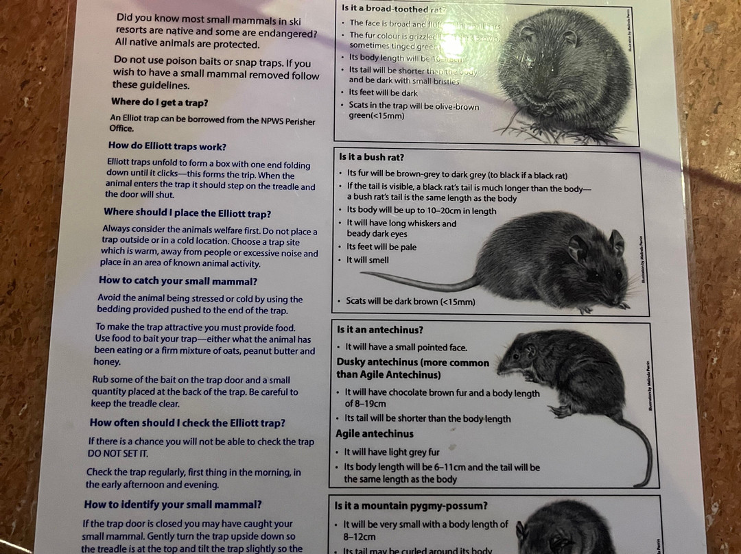 Sponars Chalet主图