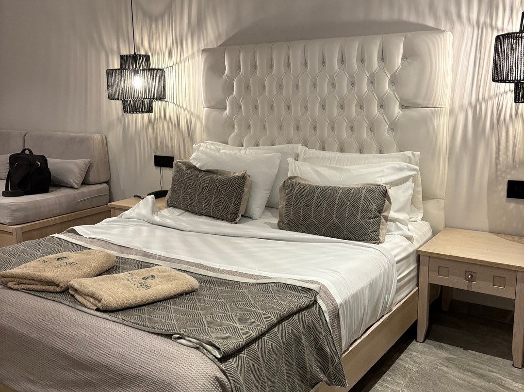 Delfina Tropic Beach主图