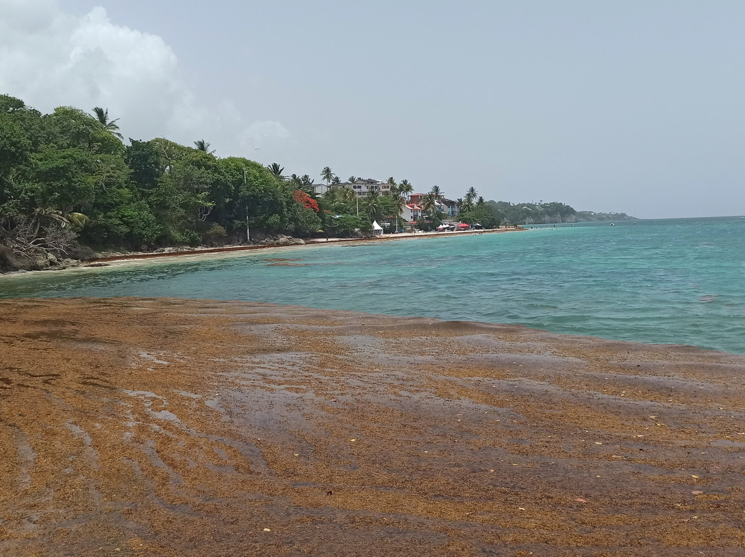 Plage de la Datcha-Le Gosier必去景点