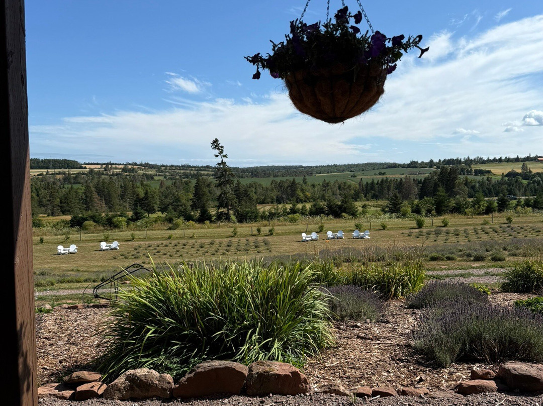 Island Honey Wine Company-Wheatley River必去景点