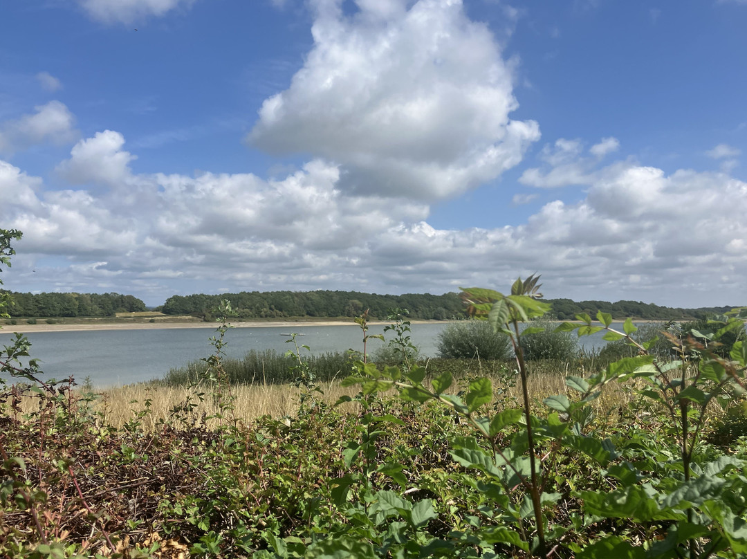 Arlington Reservoir and Nature Reserve-Polegate必去景点