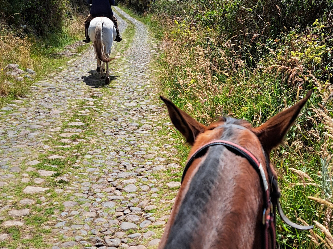 Todo Equino-Cayambe必去景点