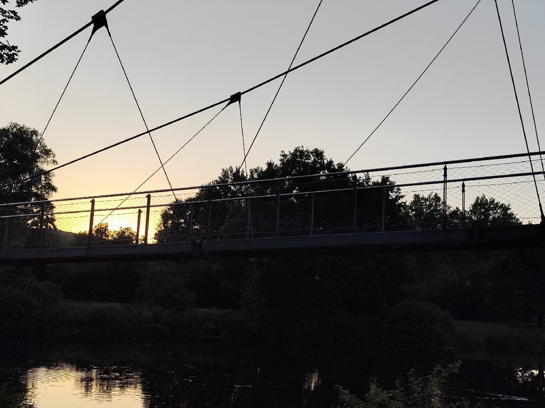 Hängebrücke Über Die Donau