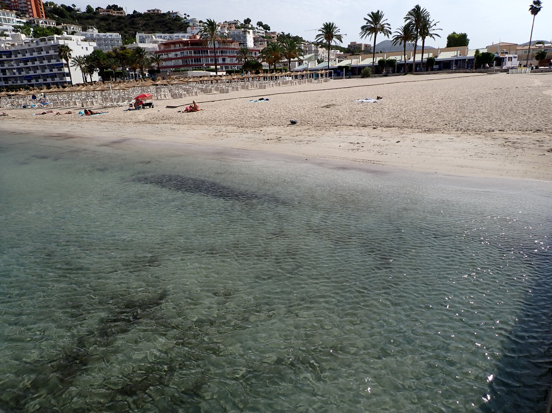 Playa Santa Ponça-圣庞沙必去景点