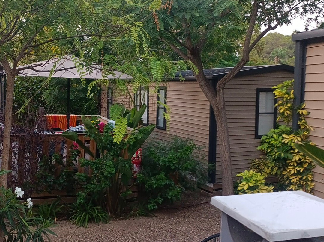 Camping Caledonia主图