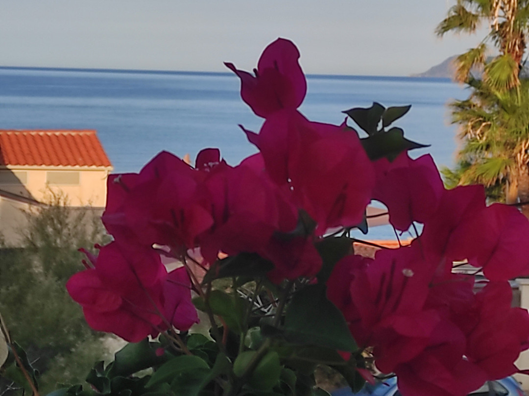 Hôtel Almanarre Plage主图