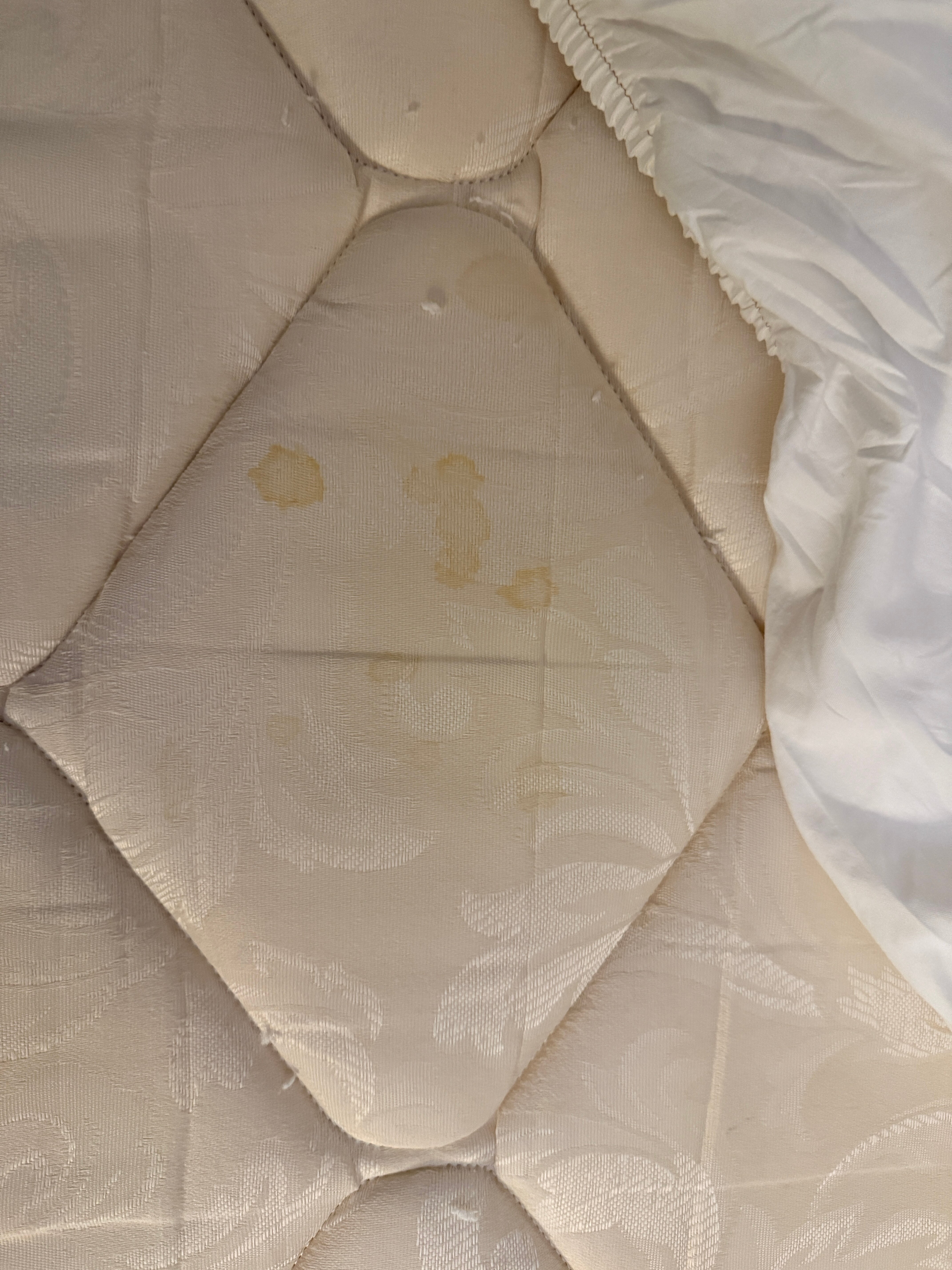 Sheraton Suites Chicago Elk Grove-客卧