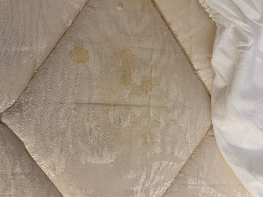 Sheraton Suites Chicago Elk Grove主图