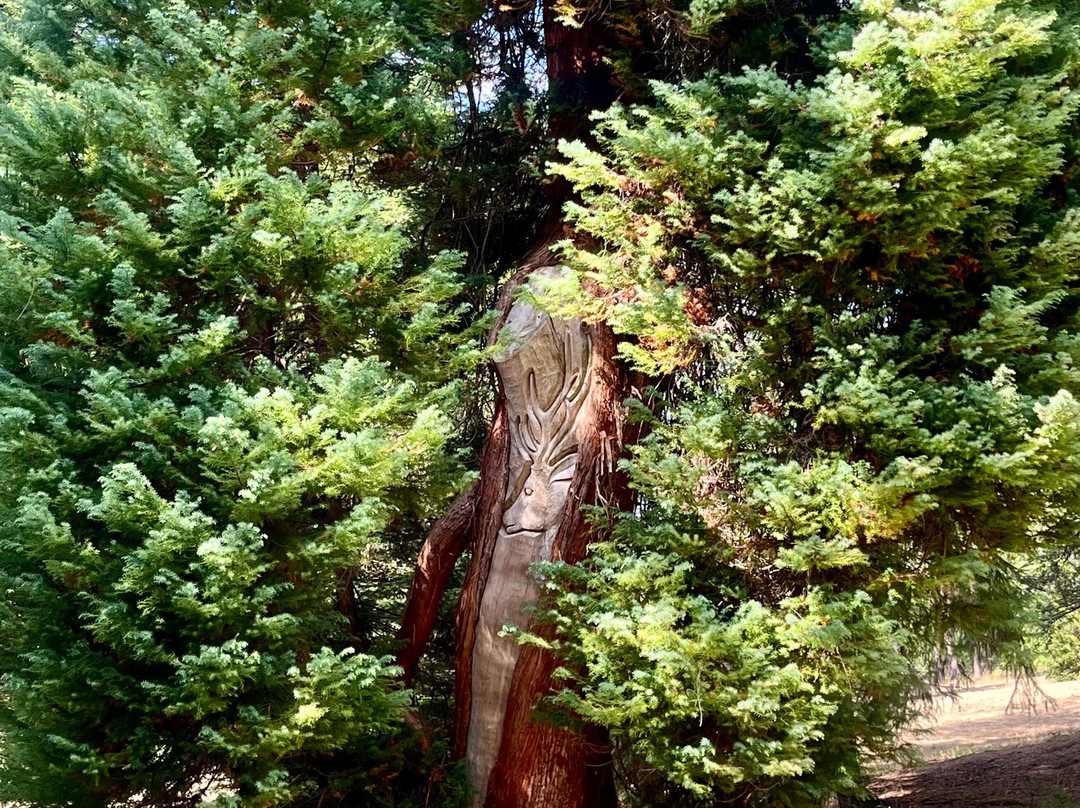 Wakehurst-Haywards Heath必去景点