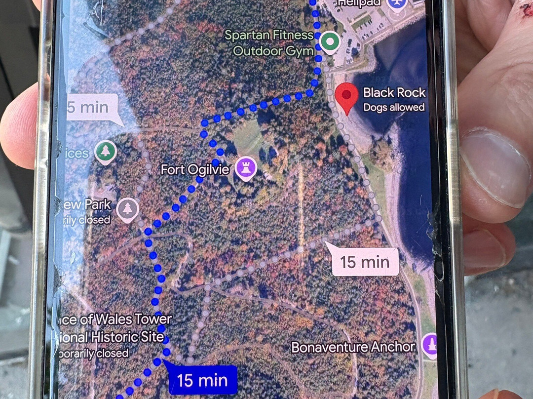 Shakespeare by the Sea-哈利法克斯必去景点