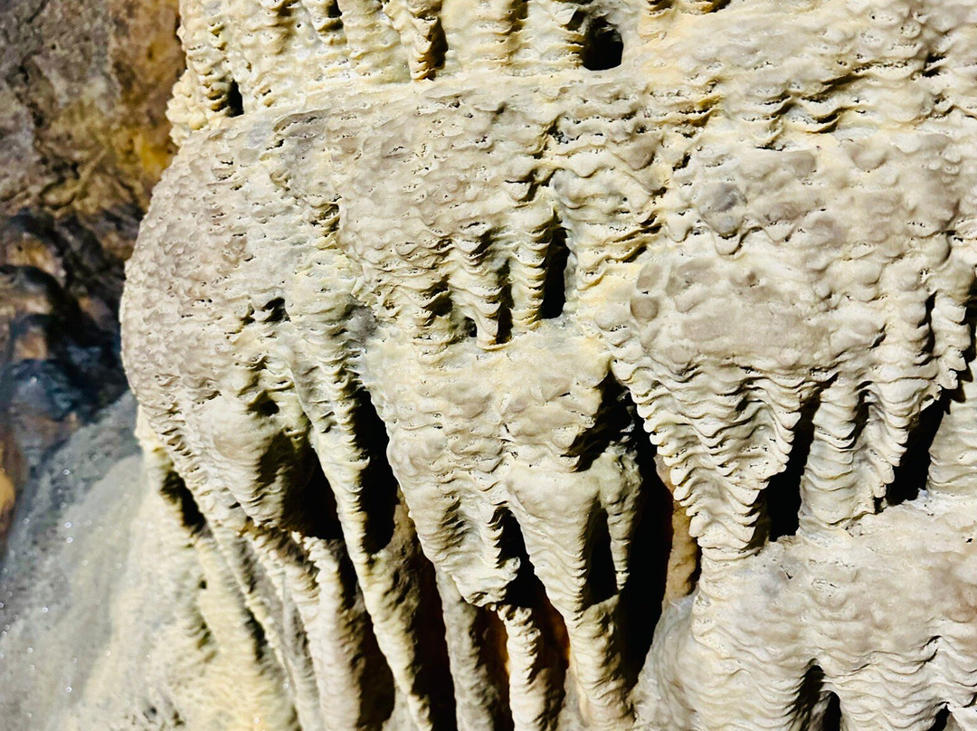 Mitchelstown Cave-Burncourt必去景点