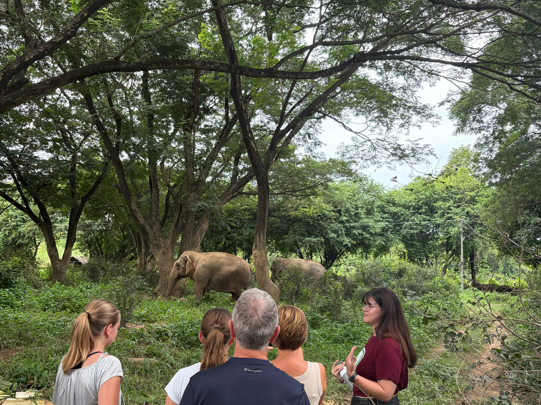 Somboon Legacy Foundation-Klon Do必去景点