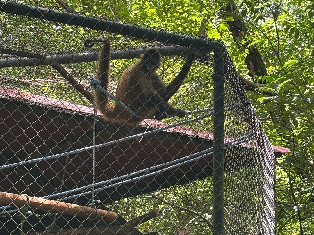 APAMI Wild Life-Portegolpe必去景点