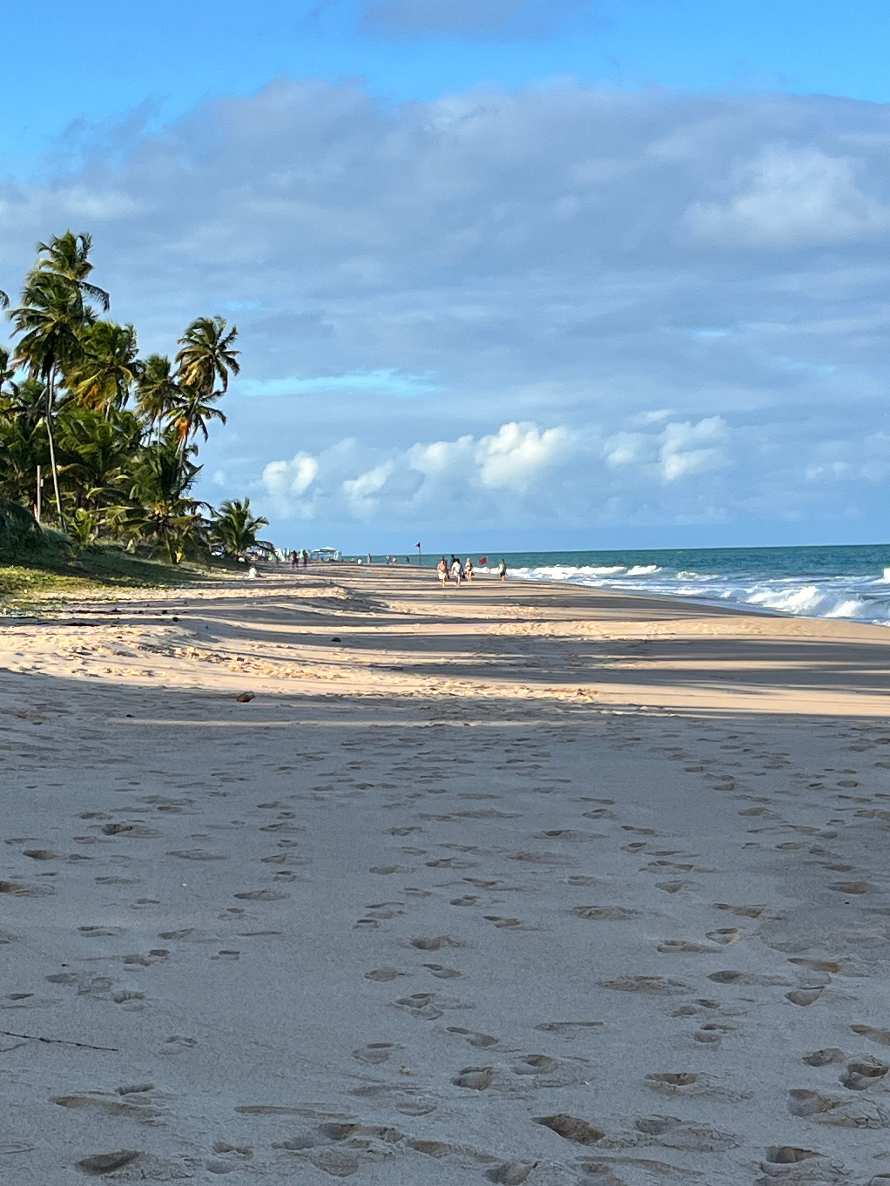 Iberostar Bahia-泳池