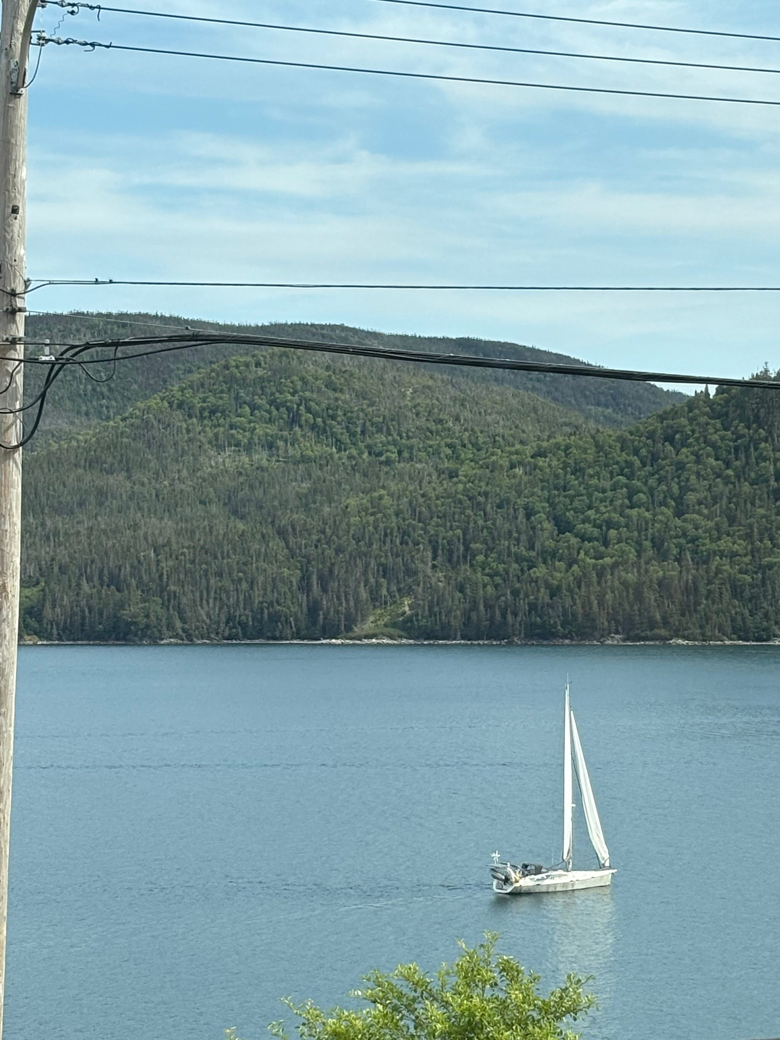 Bonne Bay Inn-酒店景观