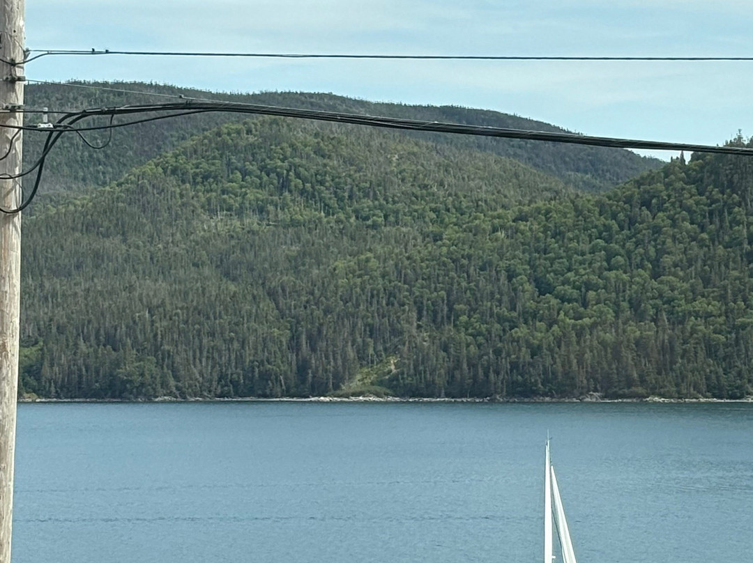 Bonne Bay Inn主图