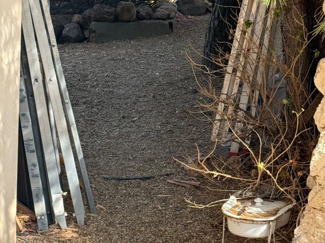 El Jardin De Los Suenos主图