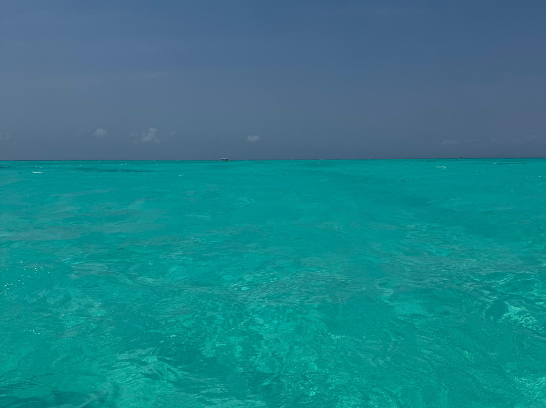 Zanzibar tours by Juma-Matemwe必去景点