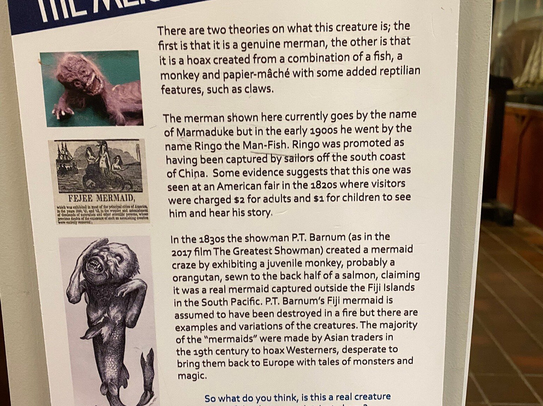 Shipwreck Centre and Maritime Museum, Isle of Wight-Arreton必去景点