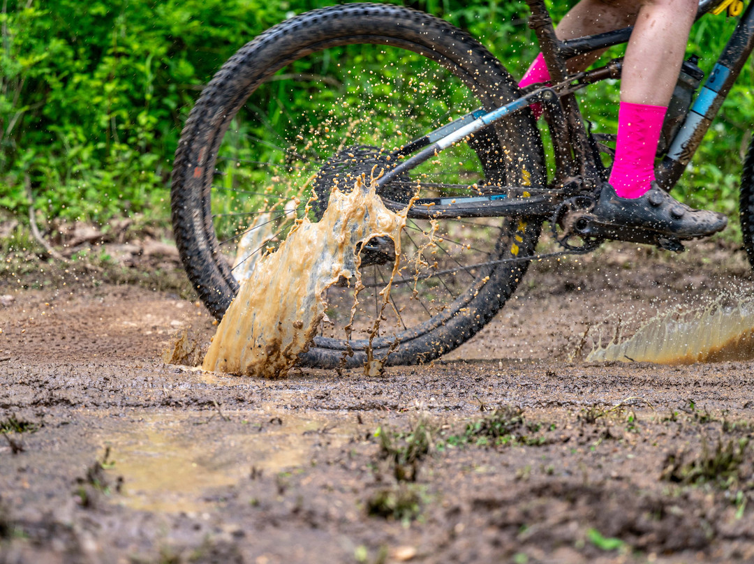 Coler Mountain Bike Preserve-本顿维尔必去景点