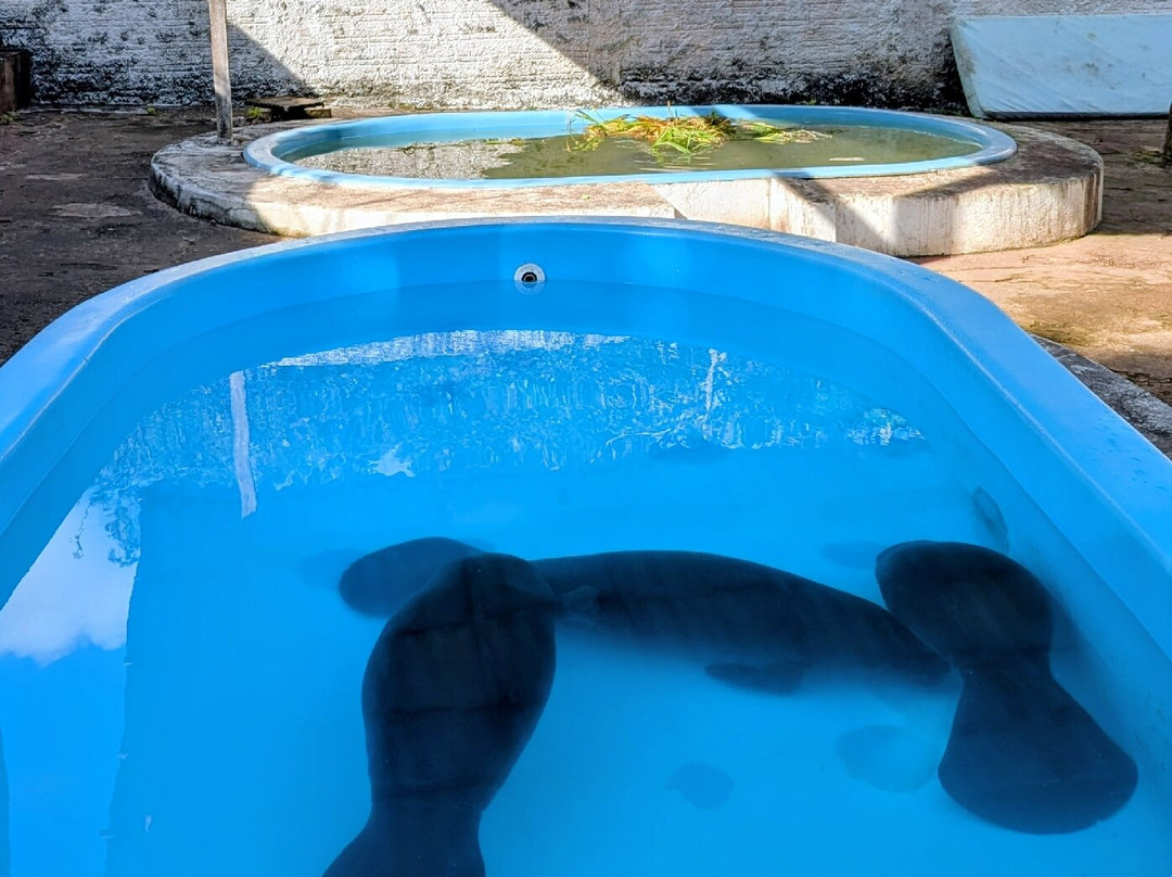 ZooFIT - Zoologico de Santarem-Santarem必去景点