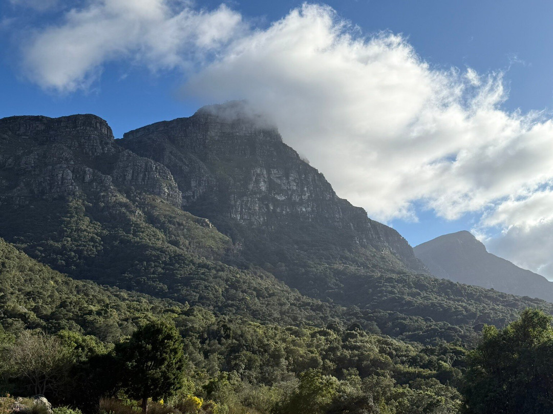 Taylor-Made Adventures-Cape Winelands District Municipality必去景点