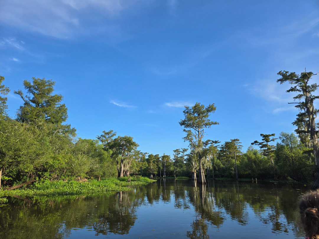 The Last Wilderness Swamp Tour-Plaquemine必去景点