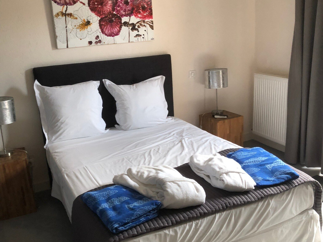 克罗伊维努师酒店主图