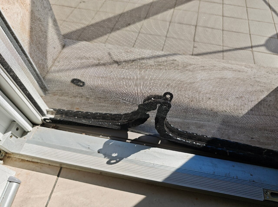 Hotel Adriatico主图